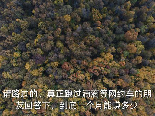 請路過的、真正跑過滴滴等網約車的朋友回答下，到底一個月能賺多少