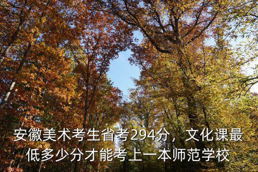 安徽美術(shù)考生省考294分，文化課最低多少分才能考上一本師范學(xué)校
