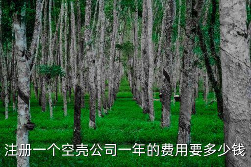 石家莊高邑縣注冊公司多少錢,注冊一個公司多少錢
