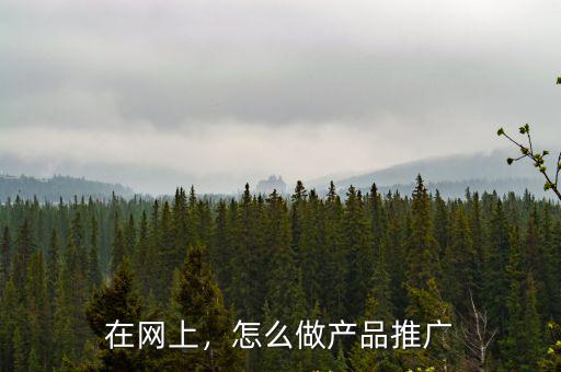 在網(wǎng)上，怎么做產(chǎn)品推廣
