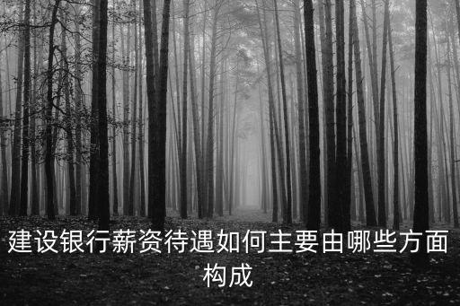 建設銀行薪資待遇如何主要由哪些方面構成
