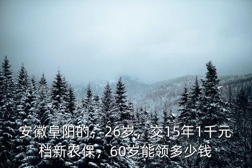 安徽阜陽的，26歲，交15年1千元檔新農(nóng)保，60歲能領(lǐng)多少錢