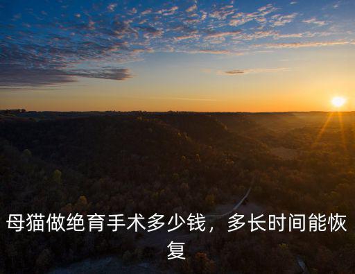 承德母貓絕育手術(shù)多少錢,母貓做絕育手術(shù)多少錢