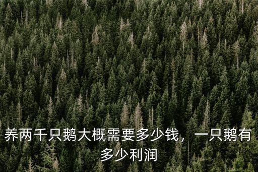 養(yǎng)兩千只鵝大概需要多少錢，一只鵝有多少利潤