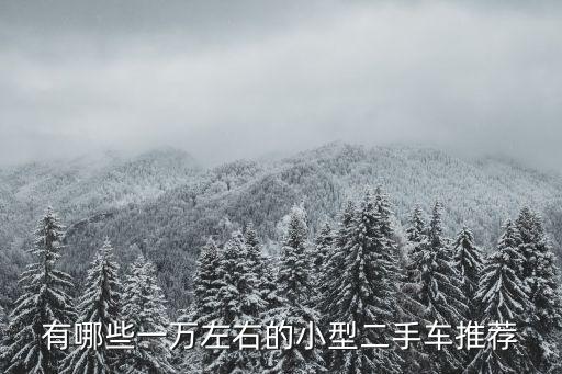 有哪些一萬左右的小型二手車推薦