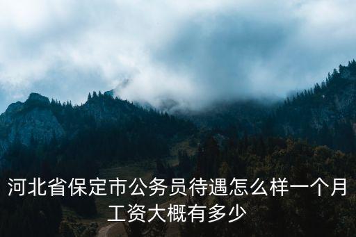 河北刑警一般一個月多少工資,一個月工資大概多少錢