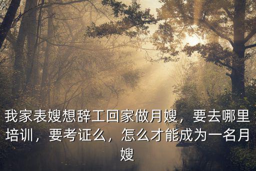 我家表嫂想辭工回家做月嫂，要去哪里培訓(xùn)，要考證么，怎么才能成為一名月嫂