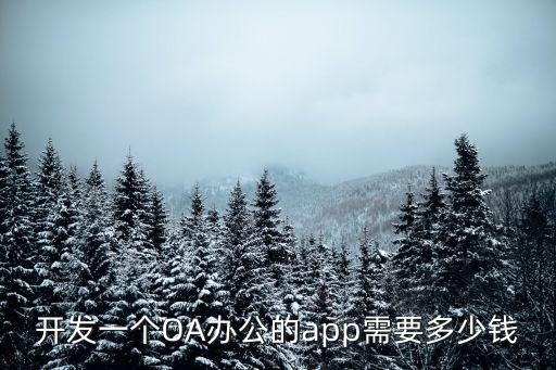 六安oa管理軟件開發(fā)多少錢,管理軟件開發(fā)平臺(tái)哪家好