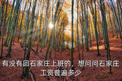 石家莊加班費多少,想問問石家莊工資普遍多少