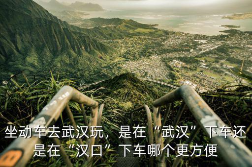 武漢輪渡怎么坐動車,坐動車去武漢玩