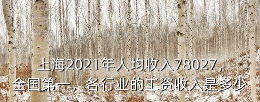 上海2021年人均收入78027，全國第一，各行業(yè)的工資收入是多少