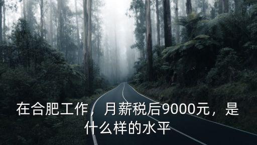 在合肥工作，月薪稅后9000元，是什么樣的水平
