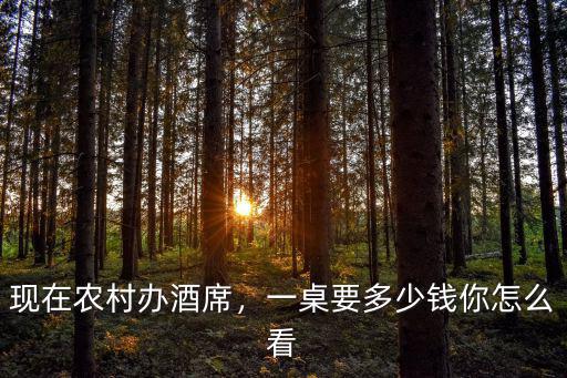 安徽舒城酒席多少錢,你們農村擺酒席大概多少錢