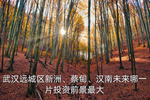 武漢漢南江蘇新程怎么樣,武漢漢南新長江買的期房