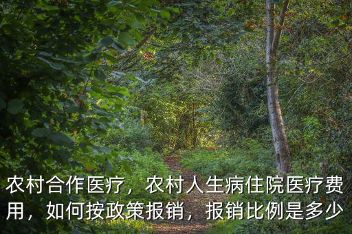 衡水市農村合作醫療報銷多少,農村合作醫療
