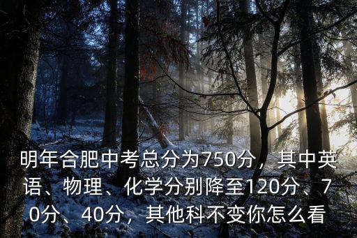 明年合肥中考總分為750分，其中英語、物理、化學分別降至120分、70分、40分，其他科不變你怎么看