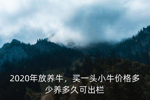 河北夏洛萊牛小牛苗多少錢一頭,小牛多少錢一頭