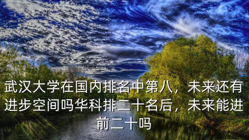武漢大學在國內排名中第八，未來還有進步空間嗎華科排二十名后，未來能進前二十嗎