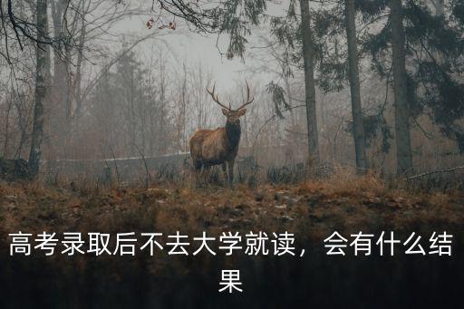 湖北高考錄取后不去會(huì)怎么樣,高考錄取后不去大學(xué)就讀