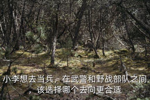小李想去當兵，在武警和野戰(zhàn)部隊之間，該選擇哪個去向更合適