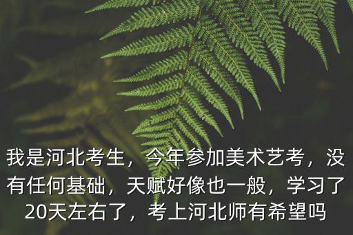 我是河北考生，今年參加美術藝考，沒有任何基礎，天賦好像也一般，學習了20天左右了，考上河北師有希望嗎