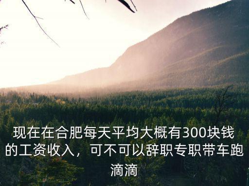 現在在合肥每天平均大概有300塊錢的工資收入，可不可以辭職專職帶車跑滴滴