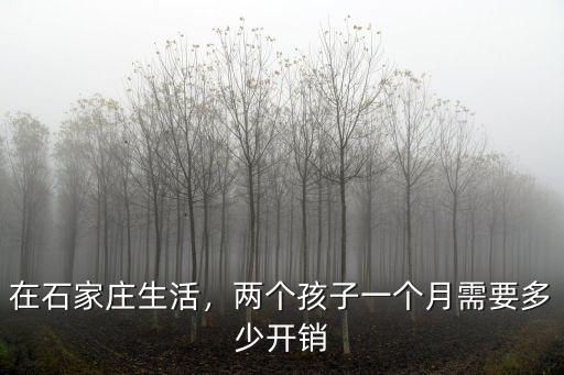在石家莊看孩子每個月多少錢,照看兩個孩子多少錢