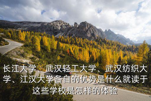 長江大學(xué)、武漢輕工大學(xué)、武漢紡織大學(xué)、江漢大學(xué)各自的優(yōu)勢是什么就讀于這些學(xué)校是怎樣的體驗(yàn)