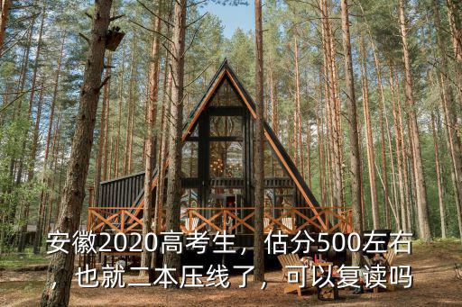 安徽2020高考生，估分500左右，也就二本壓線了，可以復讀嗎
