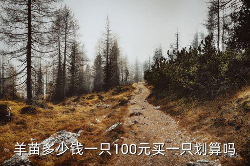 羊苗多少錢一只100元買一只劃算嗎