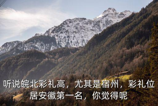 聽說皖北彩禮高，尤其是宿州，彩禮位居安徽第一名，你覺得呢
