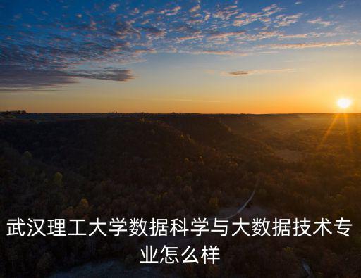 武漢大學(xué)大數(shù)據(jù)學(xué)院怎么樣,武漢學(xué)院怎么樣