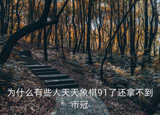 安徽象棋省冠有多少人,安徽有哪些象棋高手