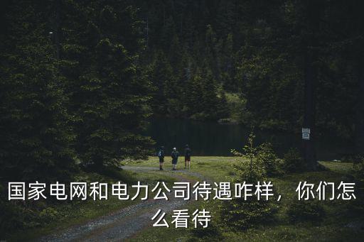 國家電網和電力公司待遇咋樣，你們怎么看待