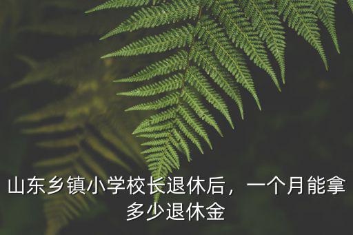 山東鄉鎮小學校長退休后，一個月能拿多少退休金