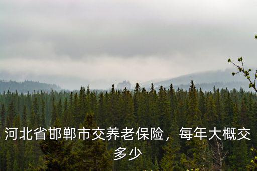 河北一般職工養老保險一年交多少年,河北省邯鄲市交養老保險