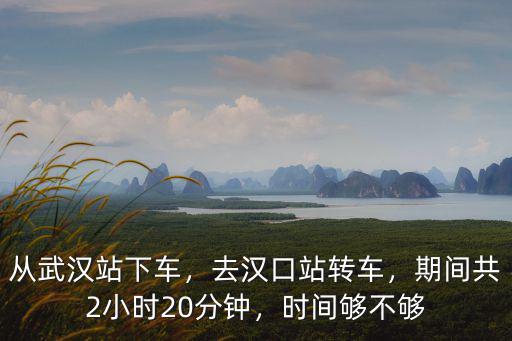 漢口站到武漢站怎么,從武漢站下車