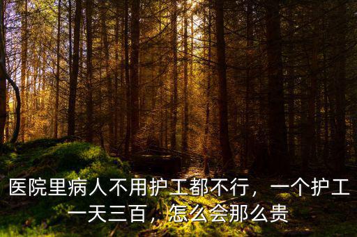 醫(yī)院里病人不用護工都不行，一個護工一天三百，怎么會那么貴