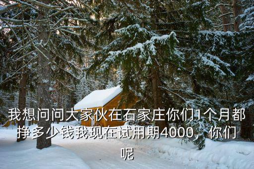 我想問問大家伙在石家莊你們1個(gè)月都掙多少錢我現(xiàn)在試用期4000，你們呢