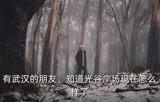 武漢光谷廣場這邊人怎么這么多,武漢的江漢路和光谷廣場