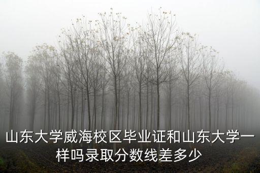 河北和山東錄取分數(shù)線差多少,錄取分數(shù)線差多少