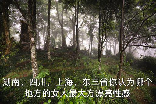 湖南，四川，上海，東三省你認為哪個地方的女人最大方漂亮性感