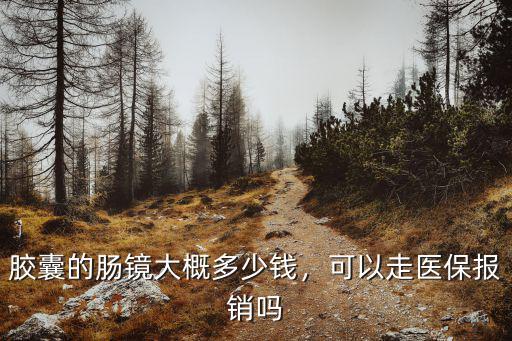 膠囊的腸鏡大概多少錢，可以走醫保報銷嗎
