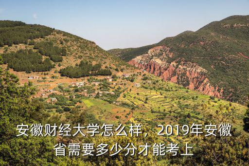 安徽財經大學國際貿易多少分,安徽財經大學怎么樣