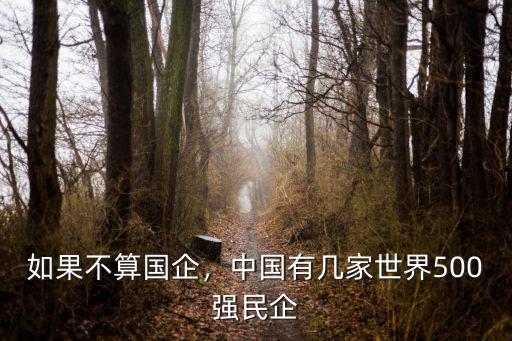如果不算國企，中國有幾家世界500強(qiáng)民企