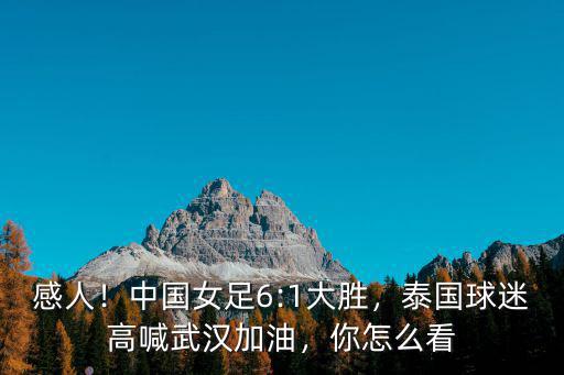 怎么拼武漢加油,泰國球迷高喊武漢加油