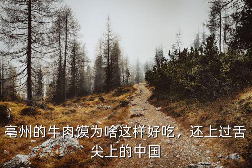 亳州牛肉饃一個多少斤,亳州的牛肉饃好吃嗎