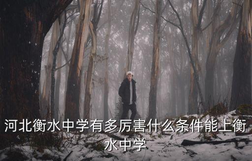 河北衡水中學有多厲害什么條件能上衡水中學
