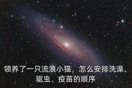 領(lǐng)養(yǎng)了一只流浪小貓，怎么安排洗澡、驅(qū)蟲、疫苗的順序