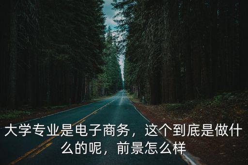 大學專業是電子商務，這個到底是做什么的呢，前景怎么樣